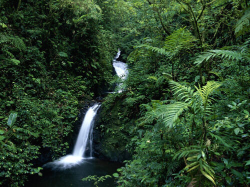 Waterfall-Monteverde-Cloud-Forest-Reserve-Costa-Rica