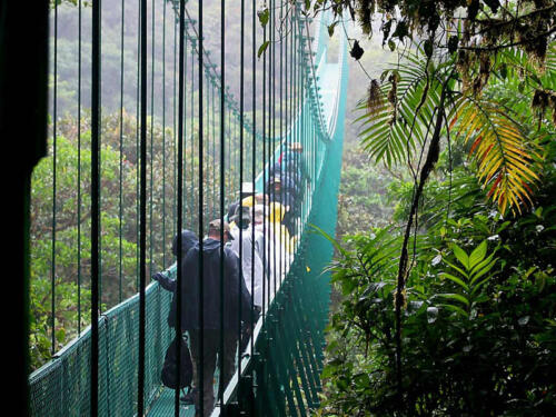 monteverde-Skyway-bridge-walk